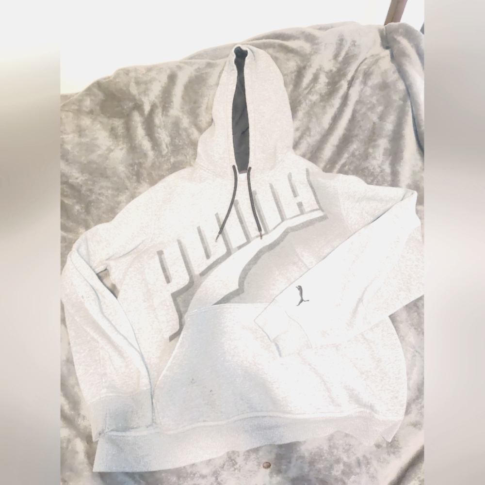 Puma Big Logo grey hoodie
